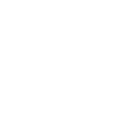 Inicio iconos blanco 11