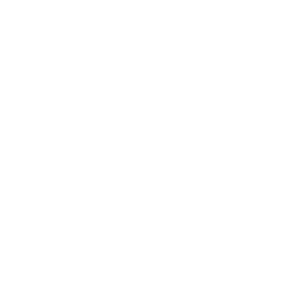 Inicio iconos blanco 18