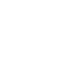 Inicio iconos blanco 19