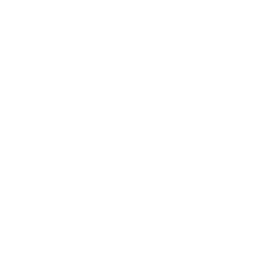 Inicio iconos blanco 25