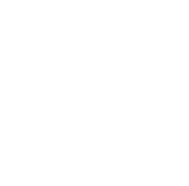 Inicio iconos blanco 49